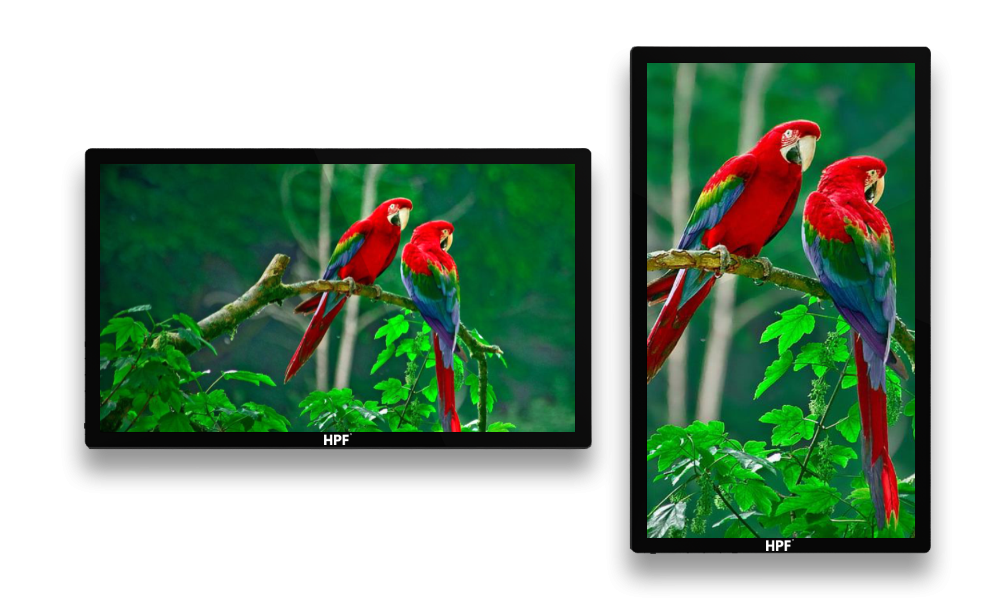 Wall-mounted Digital Screen